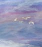Galloway Wings - Greetings card
