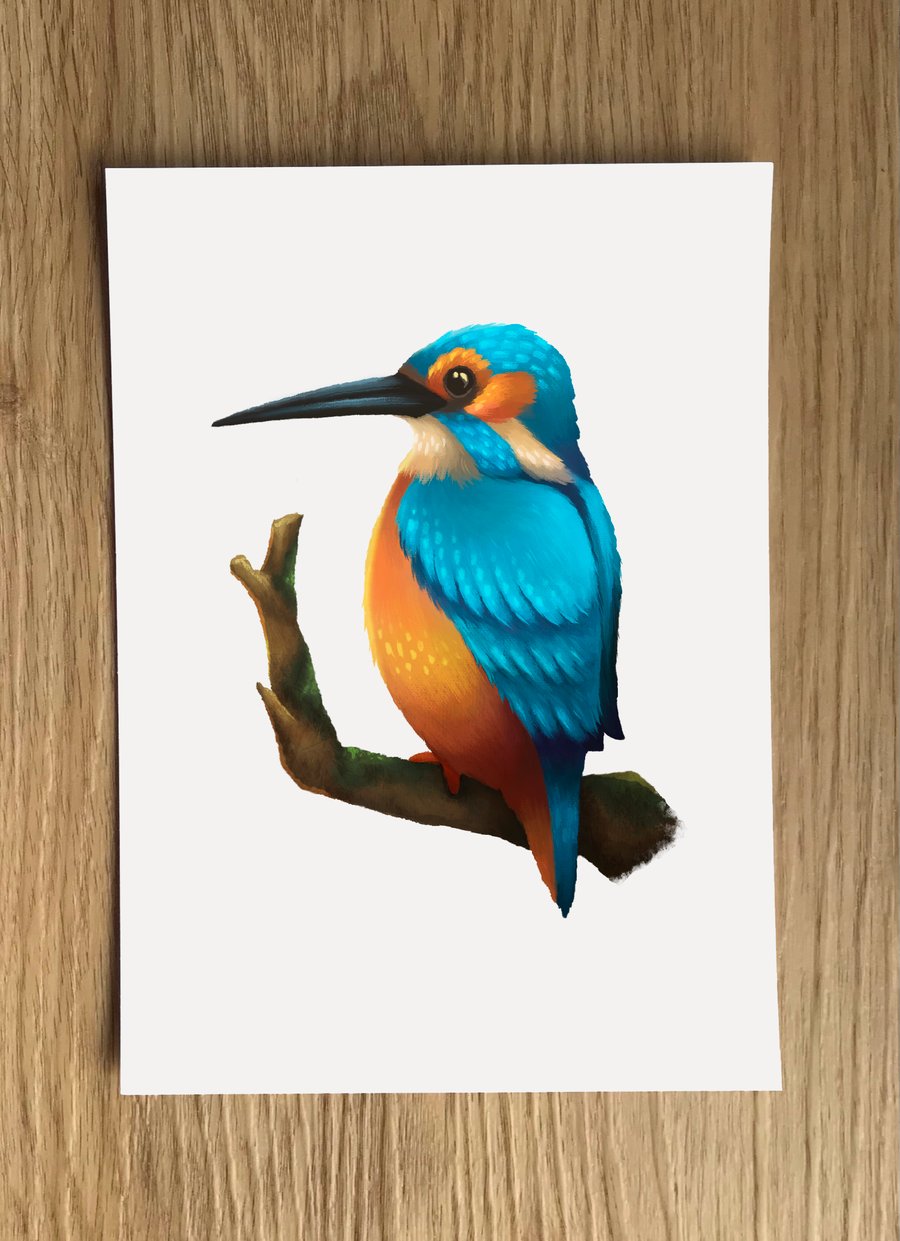Kingfisher A6 Post Card