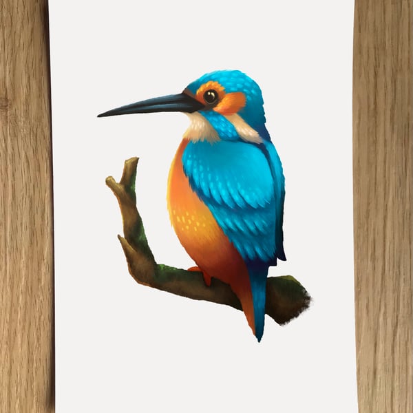 Kingfisher A6 Post Card