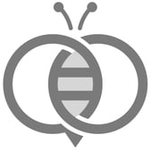 Elle Bee Design