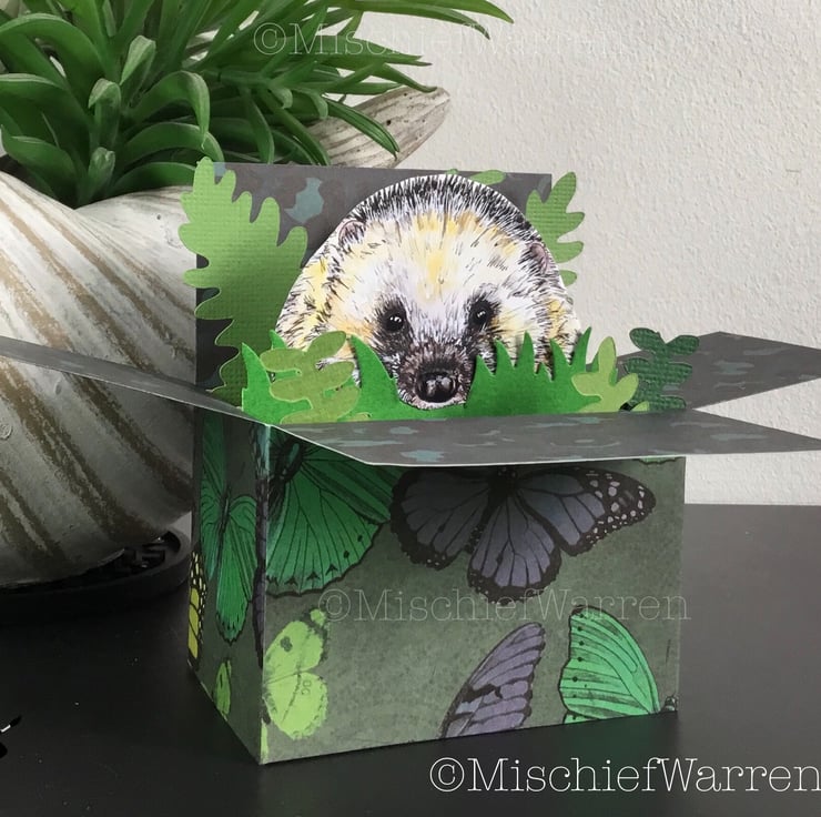 Gifts for Hedgehog Lovers