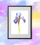 Iris Flower Botanical Art Digital Print - Image 4