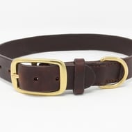Brown leather dog collar with brass buckle and D ring