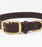 Brown leather dog collar with brass buckle and D ring - Image 1