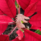 Dragon brooch pin or tie pin upcycled from penny coin