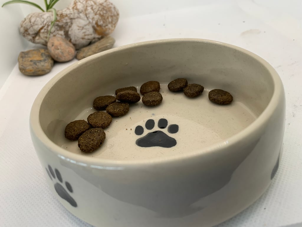 Dog bowl featuring bones and paw prints