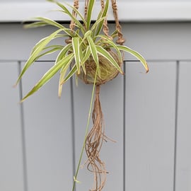 Unique Macramé Jute and Ceramic Bead Plant Pot Holder Hanging Basket