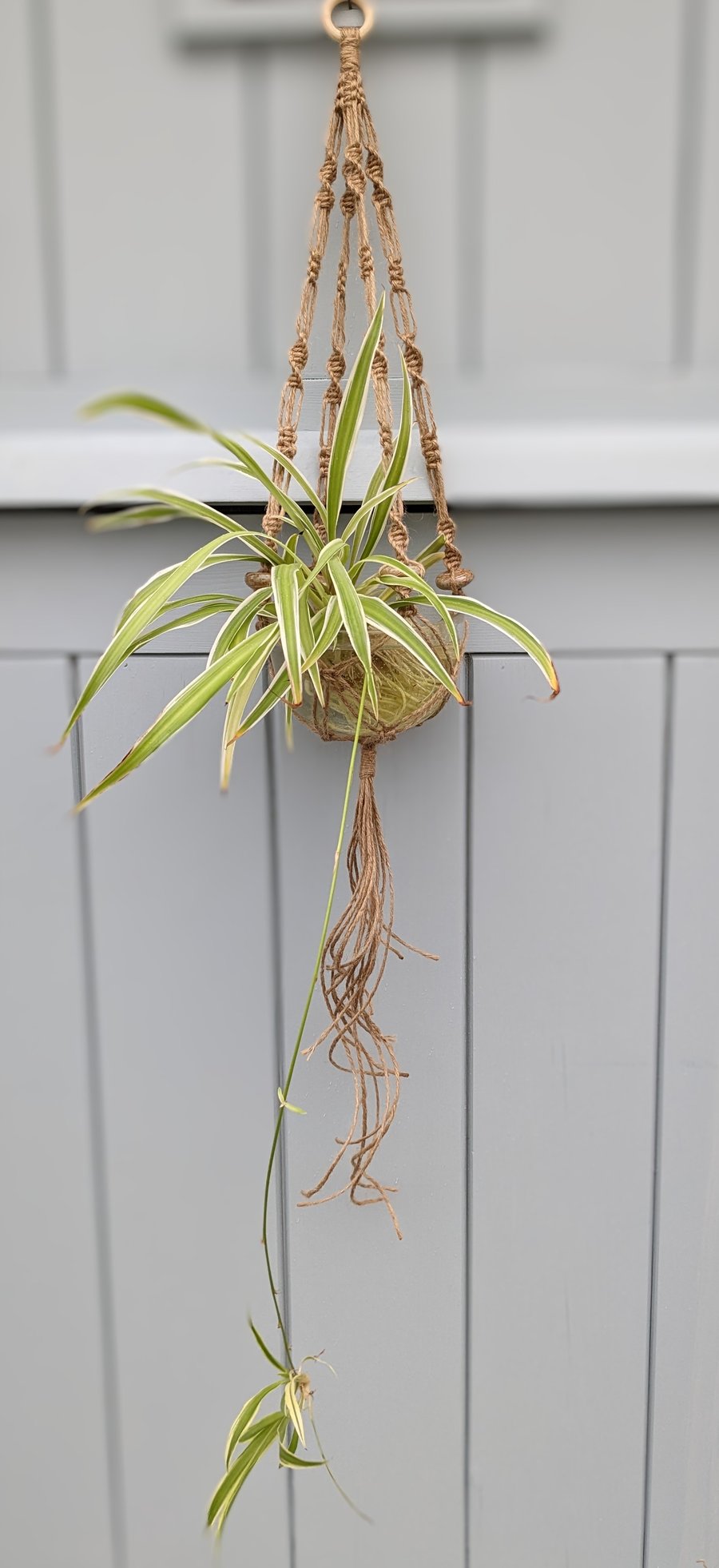 Unique Macramé Jute and Ceramic Bead Plant Pot Holder Hanging Basket