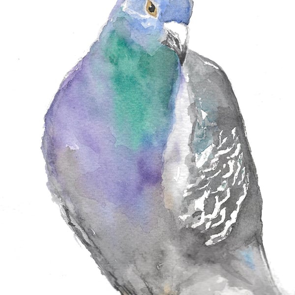 'Handsome Grey' Greeting Card