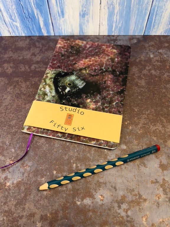 Notebook, Marine themed, A5 (ish), made from up-cycled and recycled materials.