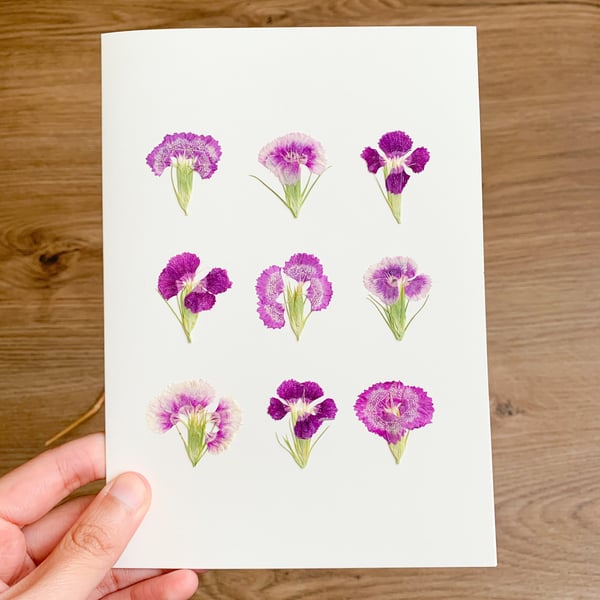 Real Pressed Flower Card Sweet William Birthday card For Wife For Mum For Women 