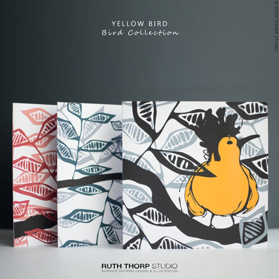 Bird Collection Greeting Cards - Set of 3 blank illustrated cards