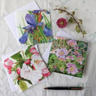 Set of three blank botanical cards