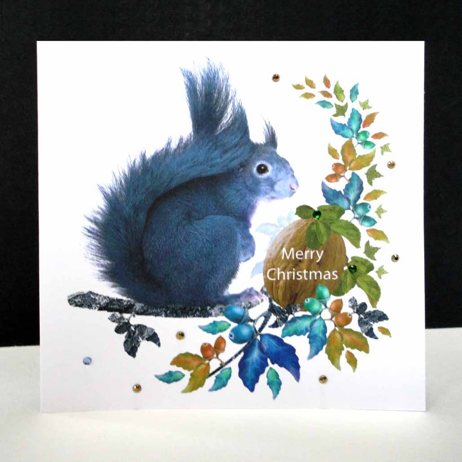 A Grey Squirrel at Christmas Card