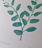 Original linoprint of eucalyptus leaves  in 2 shades of green.  - Image 3