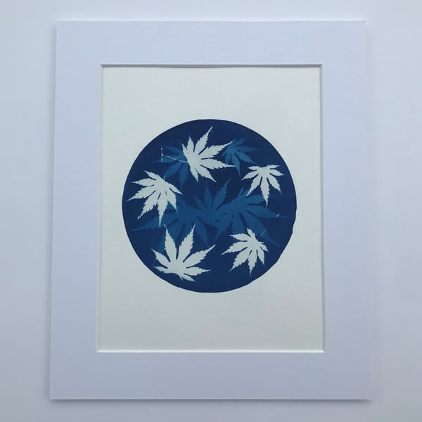 Cyanotype Art rounds up Acer leaves 