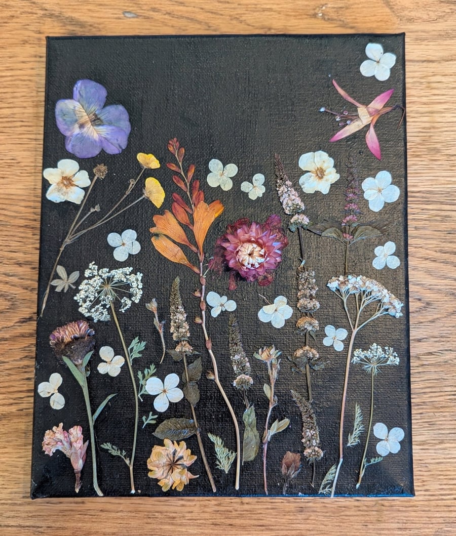 Pressed Wild Flower Canvas