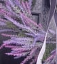 Handmade Lavender  Wreath, Soft Purple & Lilac, Grey Silver Ribbon. - Image 2