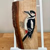 Greater spotted woodpecker original painting on oak