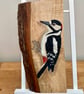 Greater spotted woodpecker original painting on oak