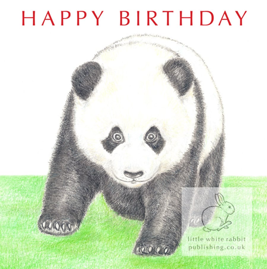 Giant Panda - Birthday Card