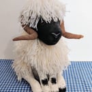 Valais Blacknose Ram