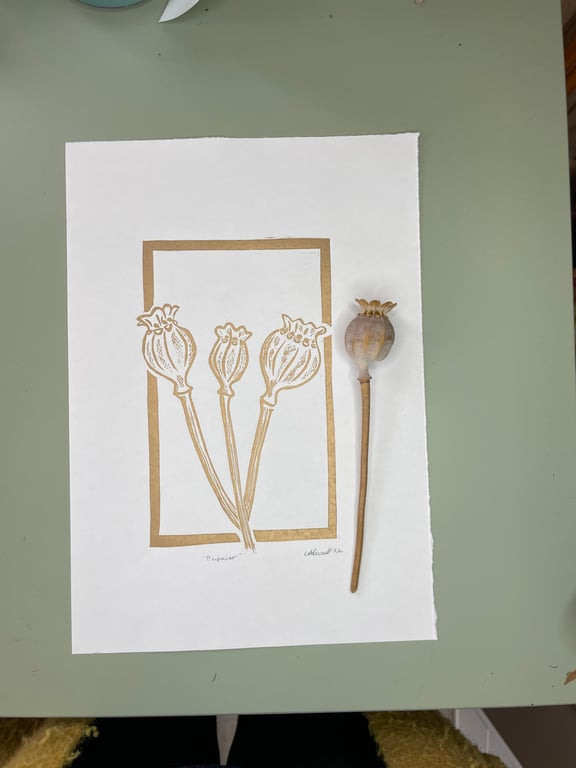 Papaver - Poppy seed head Lino print Gold
