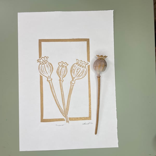 Papaver - Poppy seed head Lino print Gold