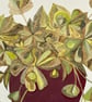 Art plant original gouache painting  - Image 2