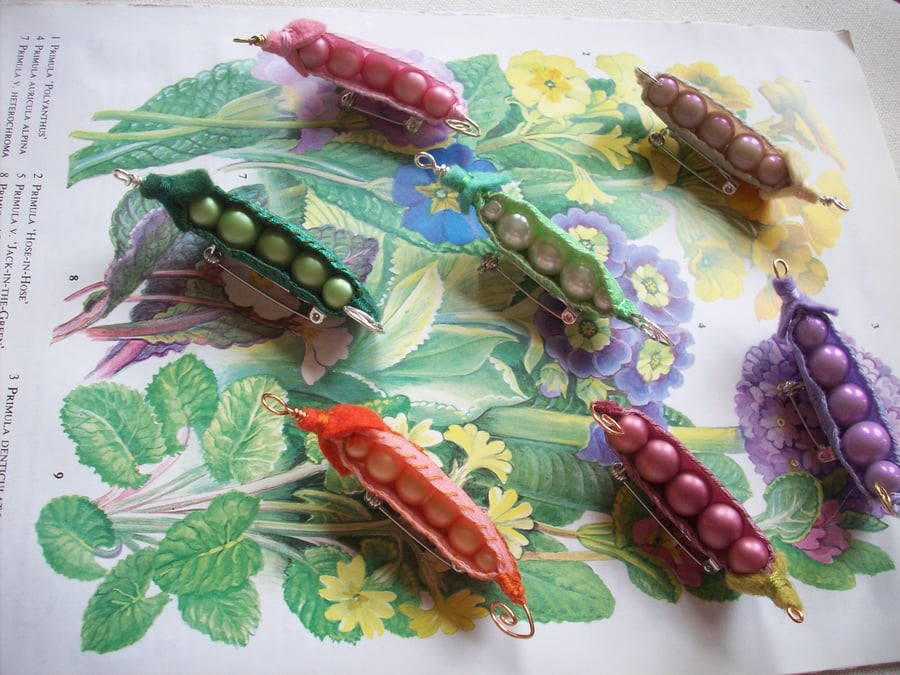 Peapod Brooch Assorted Colours