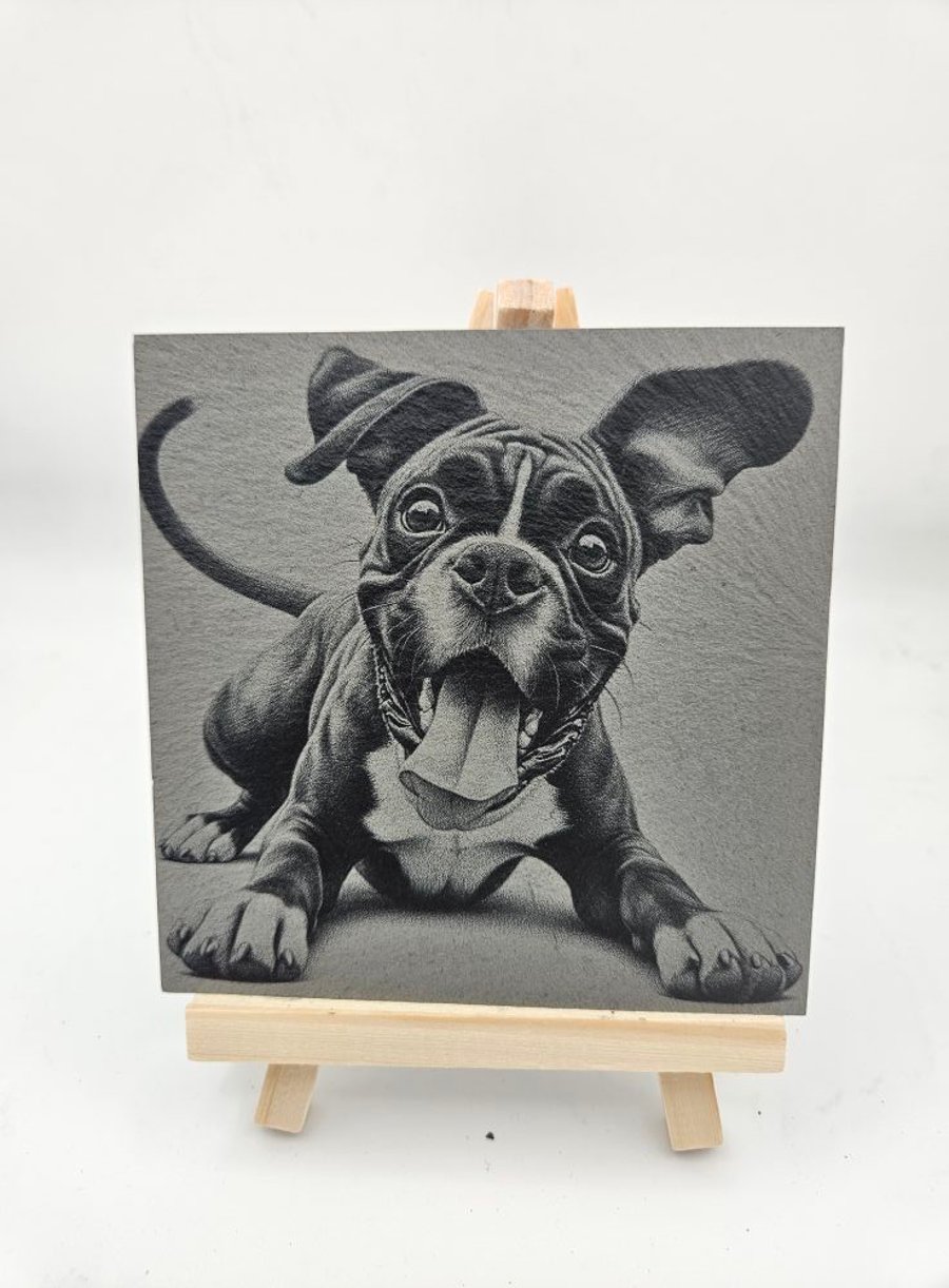 Boxer dog, Professional laser engraved slate
