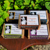 Set of 5 Aromatherapy Soaps, Palm Oil Free