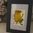ACEO Framed Original Art, Rosebud Golden Glow