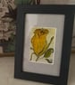 ACEO Framed Original Art, Rosebud Golden Glow