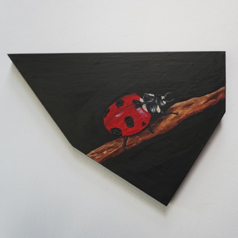 Art original British nature ladybird beetle insect acrylic wildlife painting 
