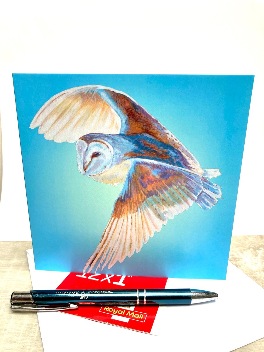  Card Barn Owl Sky