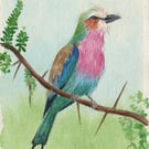 Lilac-Breasted Roller 2 Original Watercolour Painting