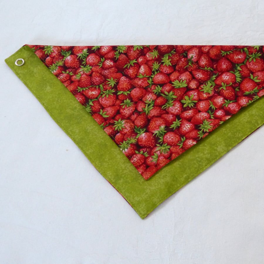 Strawberry Dribble bib