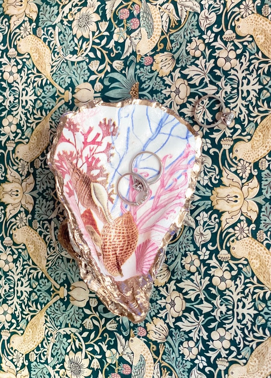 Pink coral oyster design 