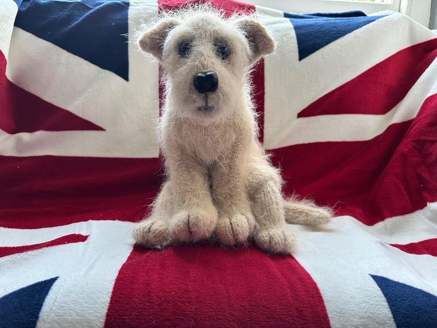 Image of Little cross breed puppy dog