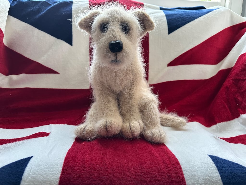 Little cross breed puppy dog