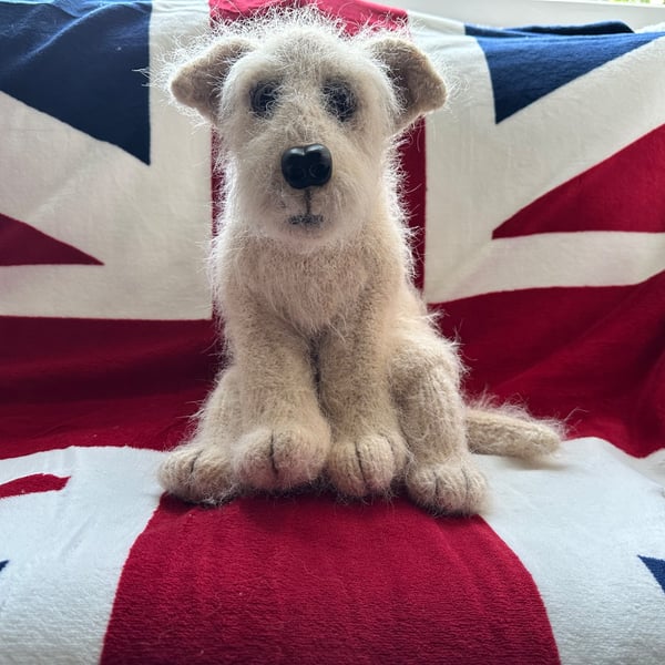 Little cross breed puppy dog