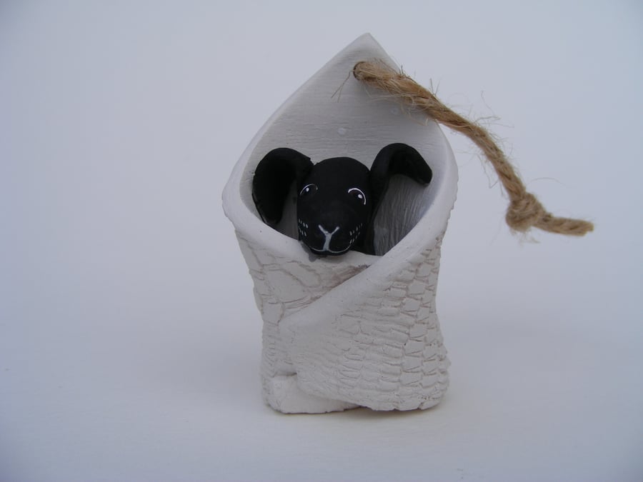 Black dog in blanket (3)