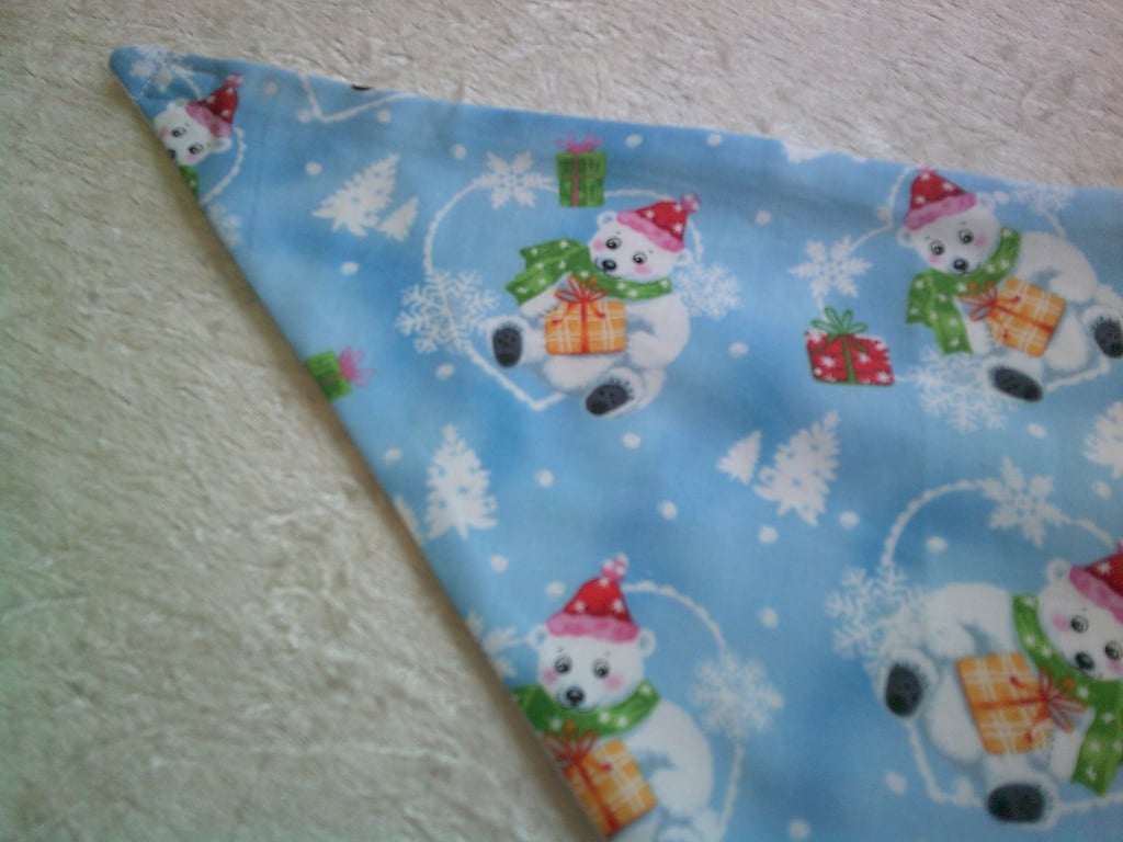 Polar Bears in Bobble Hats with Parcels Babies Dribble Bib