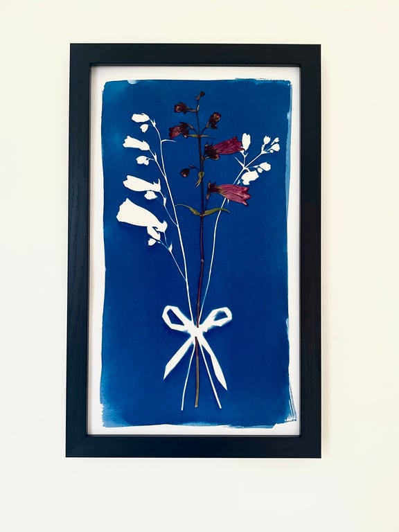 A Posy of Penstemon with Pressed Flower