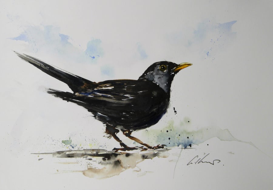 Blackbird, Original Watercolour Painting.