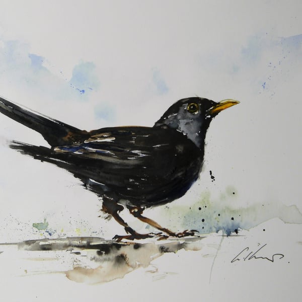 Blackbird, Original Watercolour Painting.