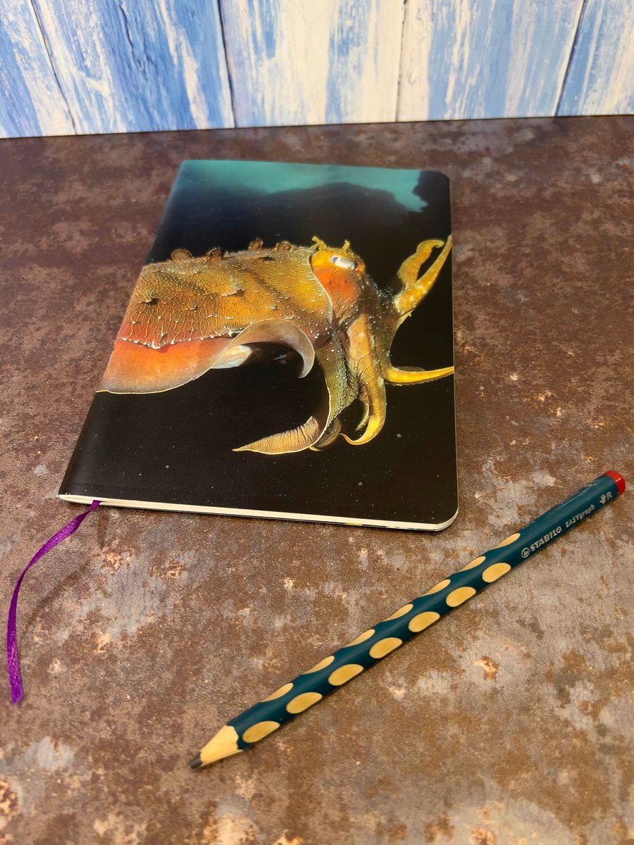 Notebook, Marine themed, A5 (ish), made from up-cycled and recycled materials.