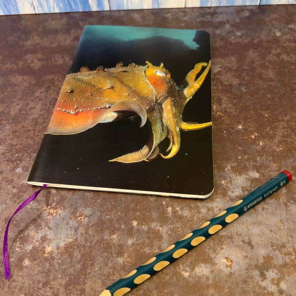 Notebook, Marine themed, A5 (ish), made from up-cycled and recycled materials.