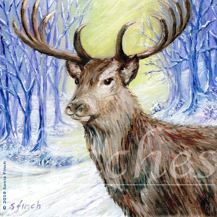 Spirit of Stag - Limited Edition Giclée Print